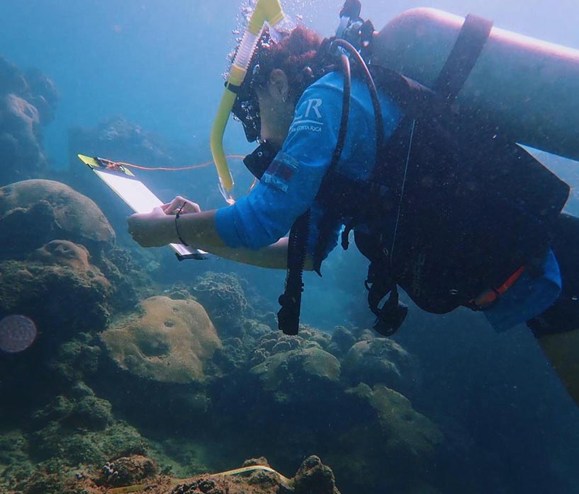 Coral conservation in community management